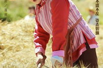 花儿与远方历史背景,探寻丝绸之路上的民族交融与文化交流