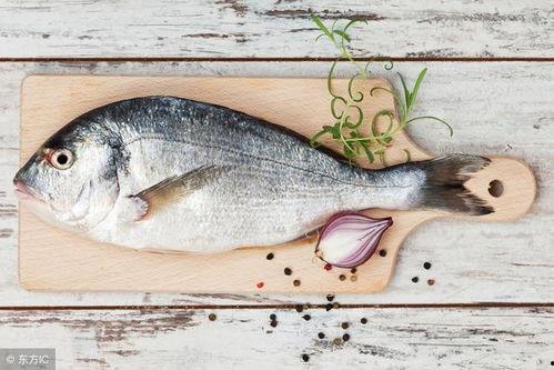 娱乐吃瓜鱼,揭秘娱乐圈那些不为人知的幕后故事