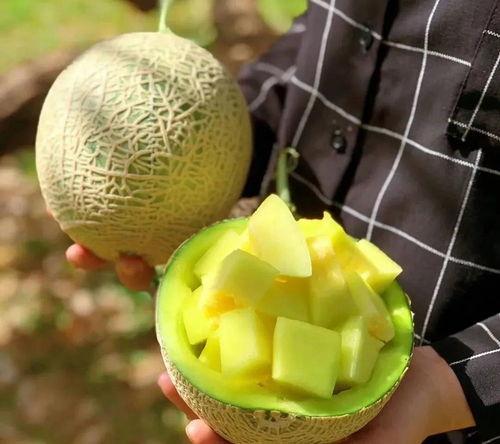 娱乐瓜吃瓜,揭秘明星幕后故事